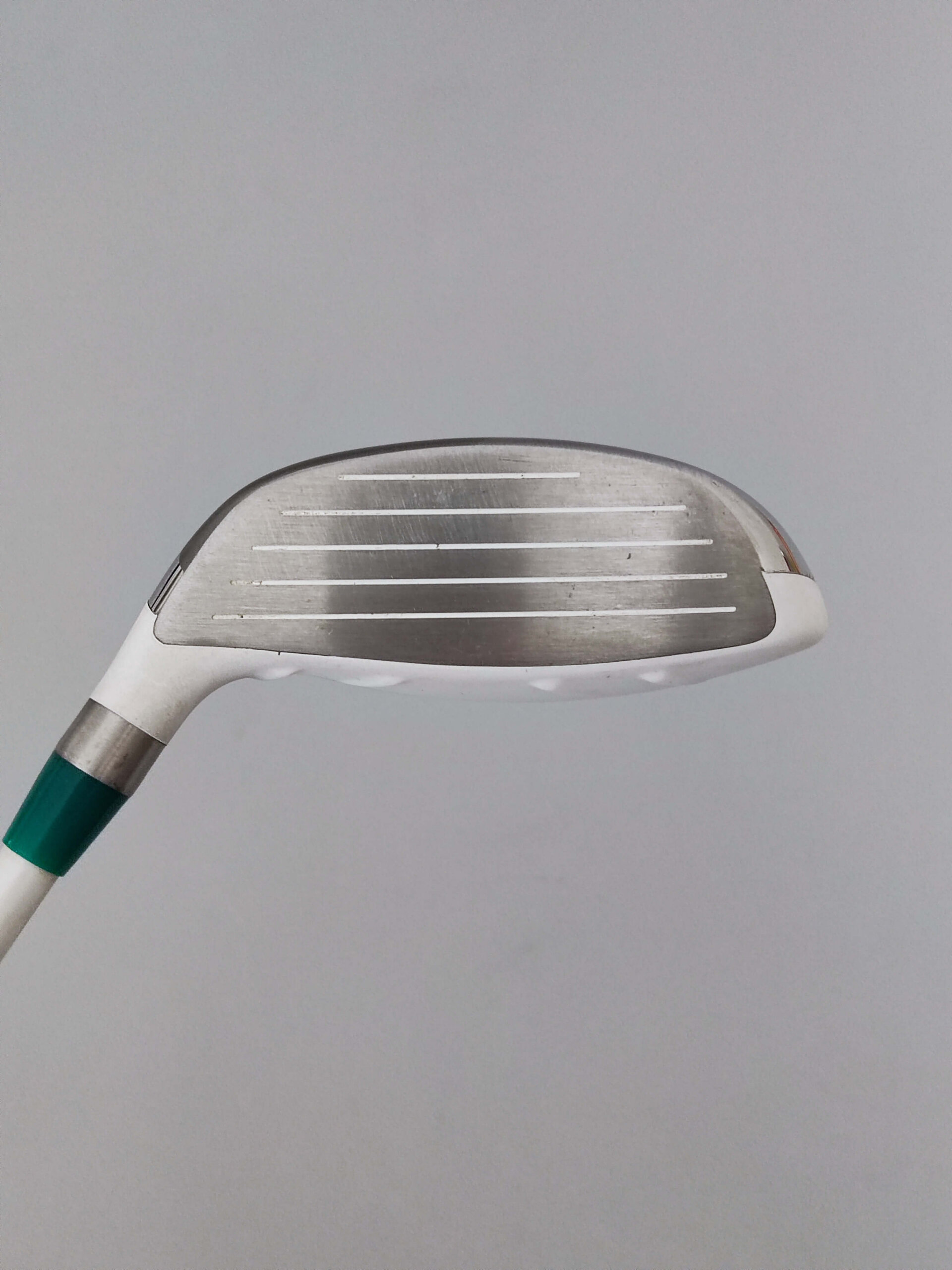 Ping Rhapsody / FW5 / Dam - Bild 2